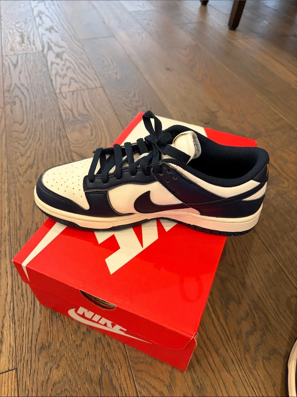 Nike Dunk Low NN